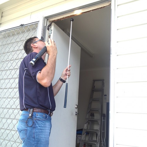 Rudi Termite Inspection in Townsville