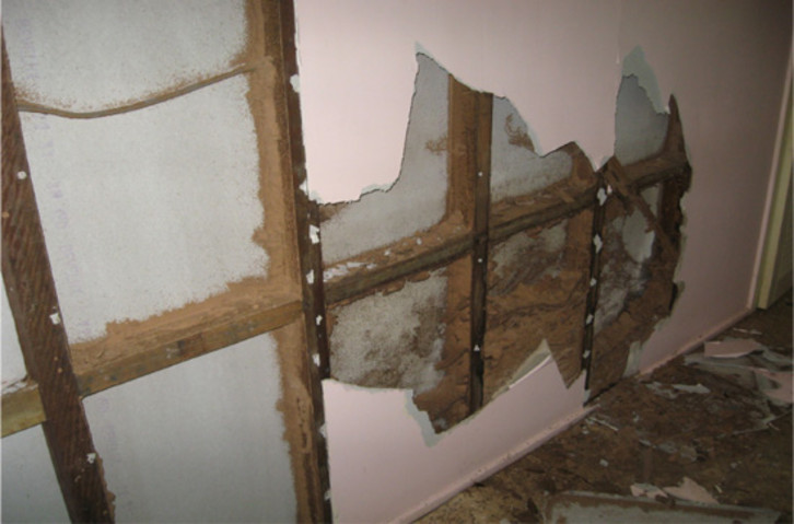 Termite damage to internal wall cavity