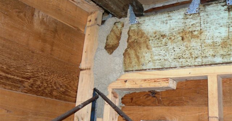 Termite lead to timber beam in subfloor