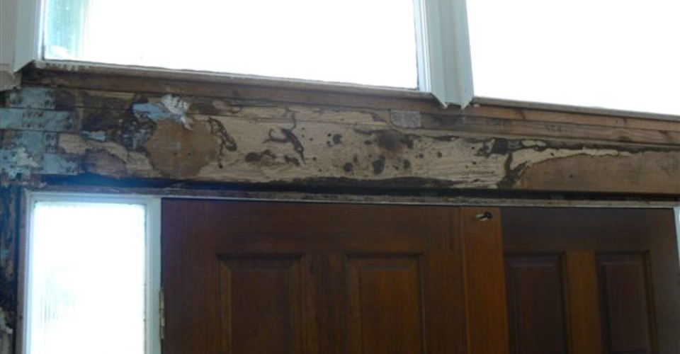 Termite damage to Door roof cavity