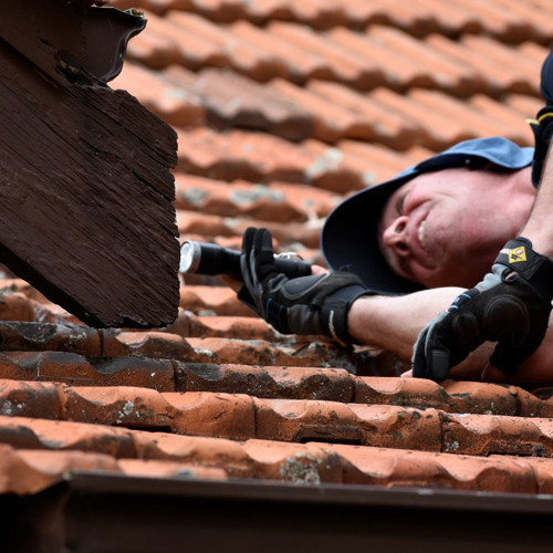 James City of Swan building and pest inspector