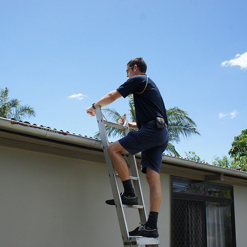 Nathan: building inspector climbing ladder