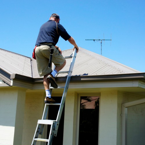 James exterior roof building pest inspection