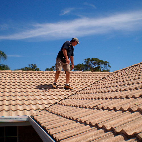 Glenn building pest inspector roof