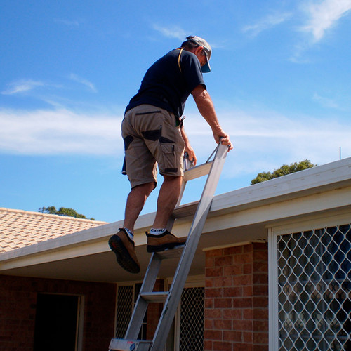 Glenn building pest inspector exterior