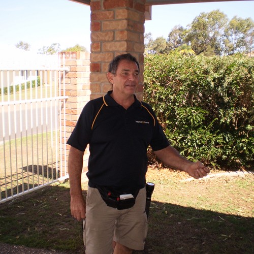 Glenn building pest inspector