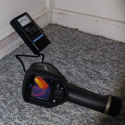 Thermal imaging camera detecting termites in a wall