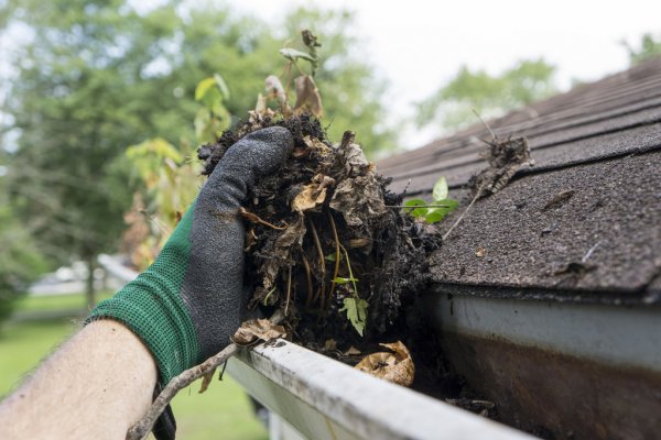 How Cleaning Your Gutters Can ...